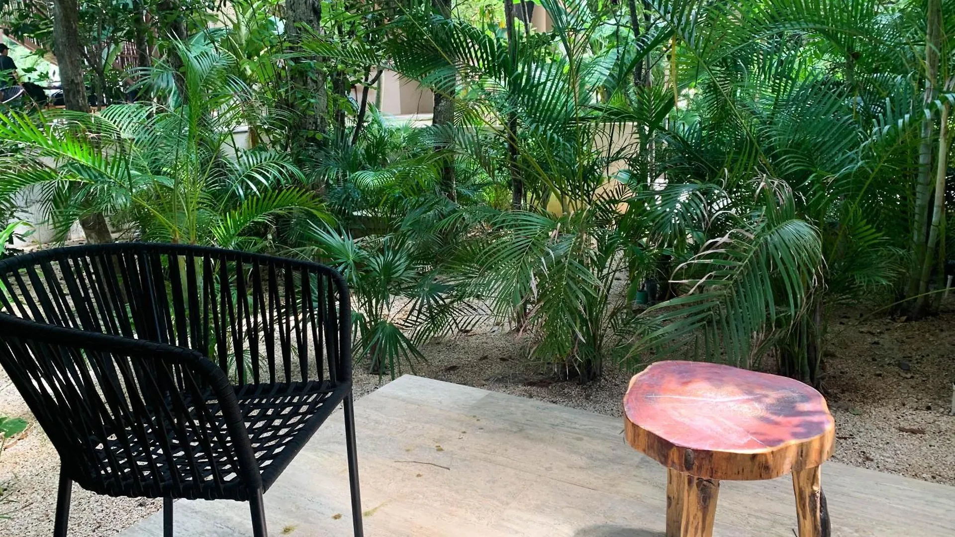 Appartement Ophelia Experience à Tulum Mexique